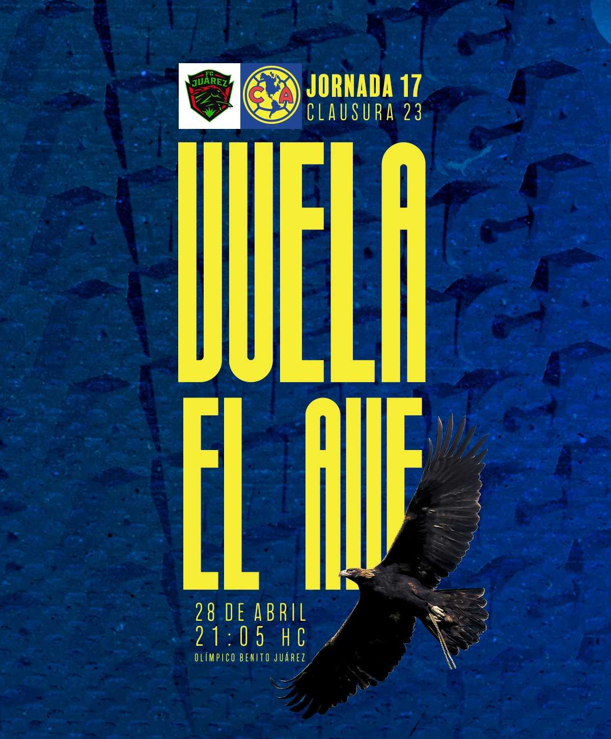 转折点！纽约尼克斯内部沟通，葡超集结日攻防权衡，目标明确，更衣室氛围转暖的简单介绍